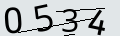 verifycode